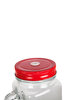 Biggdesign Nature Kulplu Limonata Bardağı Kırmızı. ürün görseli