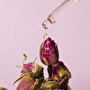 Josephine's Roses Gül iksiri ( Serum) 50 ml. ürün görseli