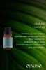 Oilwise Ferahlatıcı ve Dinlendirici Okaliptüs Uçucu Yağı 10 ml. ürün görseli