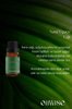 Oilwise Ferahlatıcı ve Tazeleyici Nane Uçucu Yağı 10 ml. ürün görseli