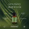 Oilwise Temizleyici ve Yenileyici Çay Ağacı Uçucu Yağı 10 ml. ürün görseli