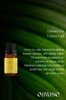Oilwise Rahatlatıcı ve Dengeleyici Limon Otu Uçucu Yağı 10 ml. ürün görseli