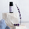 Oilwise Lavender Essential Oil 10 ml. ürün görseli