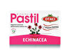 Picture of Otaci Sugar Free Echinacea Pastille