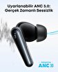 Anker Soundcore Liberty 5 TWS Kulaklık Siyah-A3957. ürün görseli