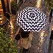Biggdesign Moods Up Siyah Beyaz Zikzaklı Manuel Mini Şemsiye . ürün görseli