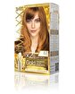 Picture of MAXX DELUXE GOLD HAIR DYE KIT 8.73