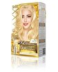 Picture of MAXX DELUXE GOLD HAIR DYE KIT 10.0