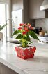 Picture of Mayer Dekorative Floral Metal Planter Red