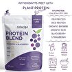 Picture of Naturiga Berry Protein Blend (250 Gr)