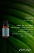 Picture of Oilwise Eucalyptus Oil, 10 ml