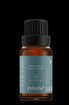 Picture of Oilwise Eucalyptus Oil, 10 ml