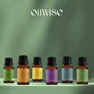 Picture of Oilwise Eucalyptus Oil, 10 ml