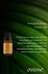 Oilwise Canlandırıcı ve Besleyici Portakal Kabuğu Uçucu Yağı 10 ml. ürün görseli
