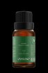 Picture of Oilwise Mint Oil 10 ml