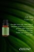 Picture of Oilwise Tea Tree Oil, 10 ml 