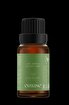 Picture of Oilwise Tea Tree Oil, 10 ml 