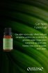 Oilwise Temizleyici ve Yenileyici Çay Ağacı Uçucu Yağı 10 ml. ürün görseli