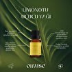 Picture of Oilwise Lemon Grass Oil 10 ml