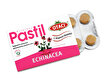Picture of Otaci Sugar Free Echinacea Pastille
