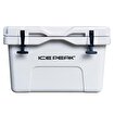 Icepeak Aden Buzluk 35 Litre. ürün görseli