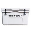 Icepeak Aden Plus Buzluk 45 Litre. ürün görseli