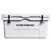 Icepeak Aden Buzluk 65 Litre. ürün görseli