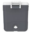 IcePeak CoolCraft 46 Buzluk 41.6 Litre-FÜME. ürün görseli