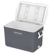 IcePeak CoolCraft 46 Buzluk 41.6 Litre-FÜME. ürün görseli