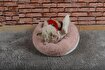 Cookie Pet Sherpa Polar Yıkanabilir Yuvarlak Köpek Kedi Yatağı 60 cm Açık Pudra. ürün görseli