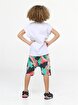 Picture of Casabony Tyranno Camouflage Boys Shorts Set 3 Years