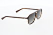 Hawk 2249 03 Unisex Güneş Gözlüğü. ürün görseli