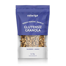 Naturiga Gluten Free Granola / Blueberry & Mango (250 Gr)