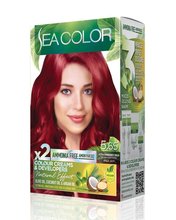 SEA COLOR AMMONIA FREE  HAIR DYE KIT 5.65