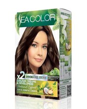 SEA COLOR AMMONIA FREE  HAIR DYE KIT 6.7