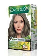 SEA COLOR AMMONIA FREE  HAIR DYE KIT 8.1