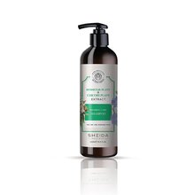 Sheida Active Shine Repairing Care Shampoo With Horsetail And Chicory Plant Extract 500ML