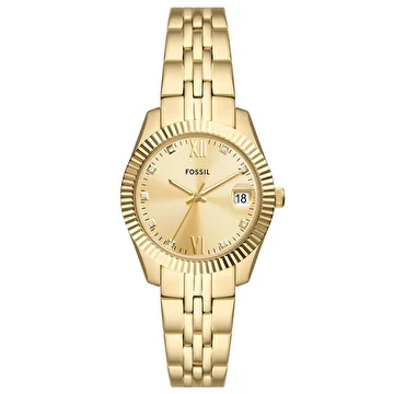 media.product.imagealternatetextformat