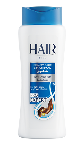 Picture of Hair2000 Shampoo 650 G X 12 Antidandruff / Bottle