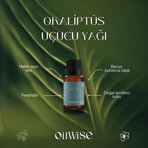 Picture of Oilwise Eucalyptus Oil, 10 ml