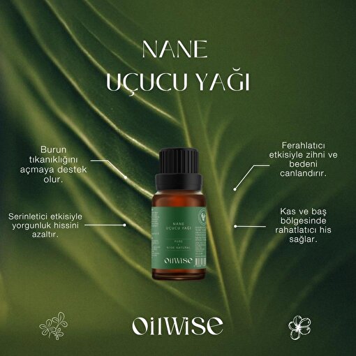 Picture of Oilwise Mint Oil 10 ml