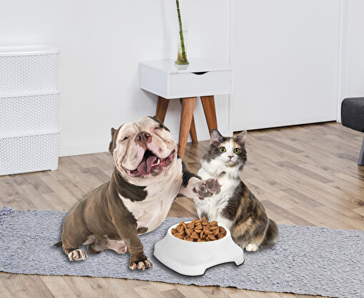 Picture of Pet Plastart Container Pet Food White 28 X 28 X 10,5 / 2 Lt