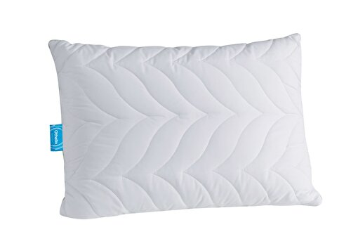 Picture of Othello Lovera Pillow 50*70
