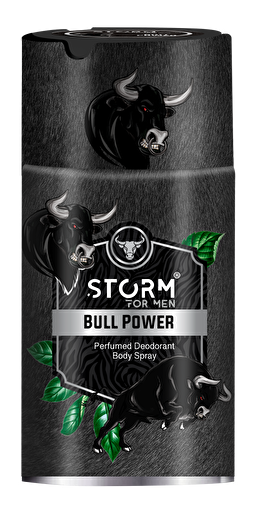 Picture of Storm Deo Spray For Men Bull Power 250 Ml 