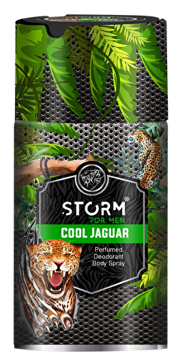 Picture of Storm Deo Spray For Men Cool Jaguar 250 Ml 