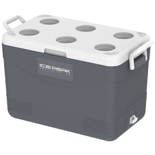 IcePeak CoolCraft 46 Buzluk 41.6 Litre-FÜME. ürün görseli