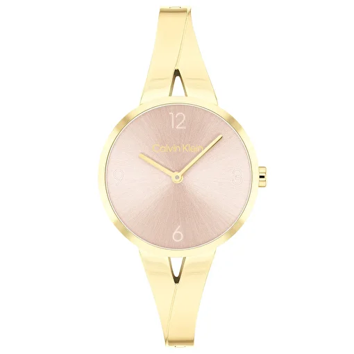 Calvin Klein CK25100027 Kadın Saat Modelleri. ürün görseli