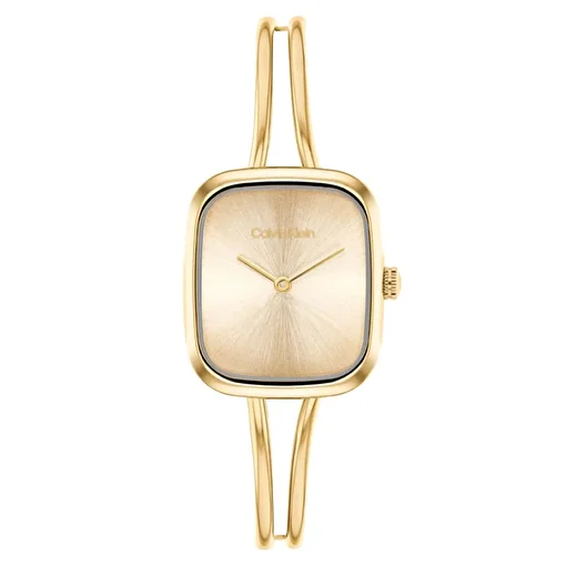 Calvin Klein CK25100132 Kadın Saat Modelleri. ürün görseli