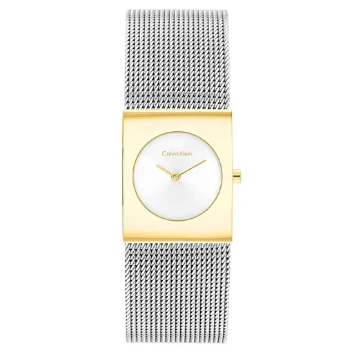 Calvin Klein CK25100139 Kadın Saat Modelleri. ürün görseli