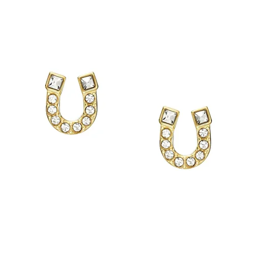 Fossil JF04908-710 Kadın Küpe Modelleri. ürün görseli